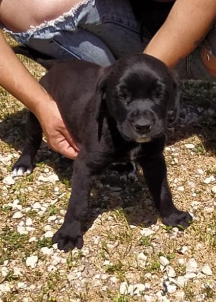 Samu E Mark Cercano Casa