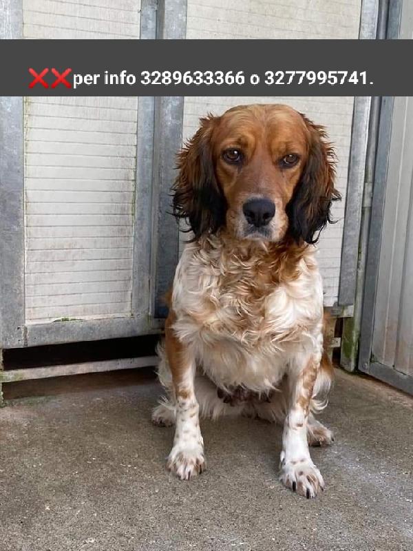 Jennifer! (17Kg-4 Anni)