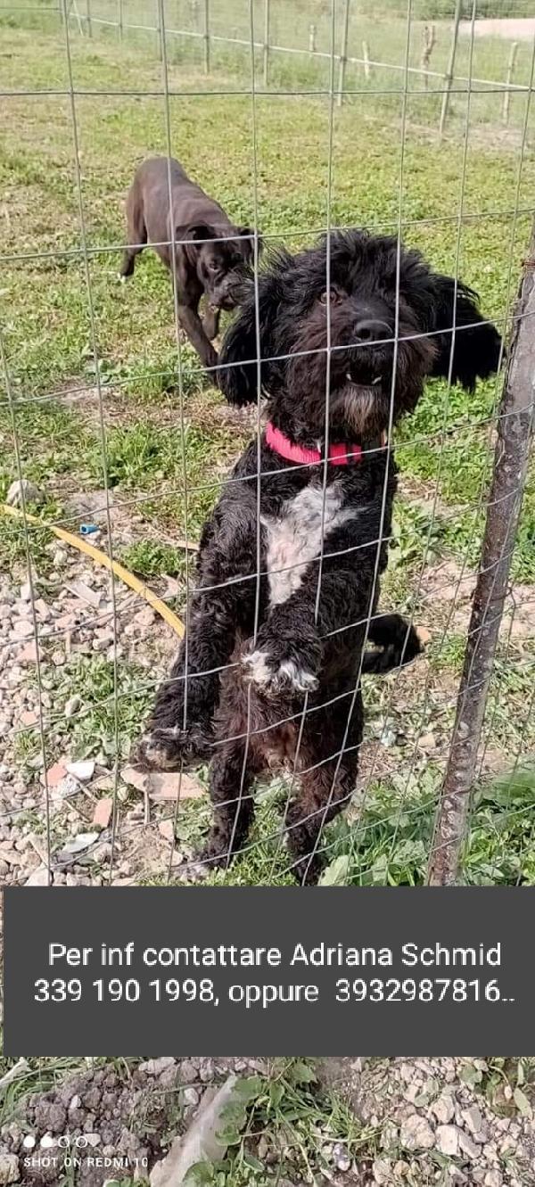 Barbie! (2 Anni E Mezzo)