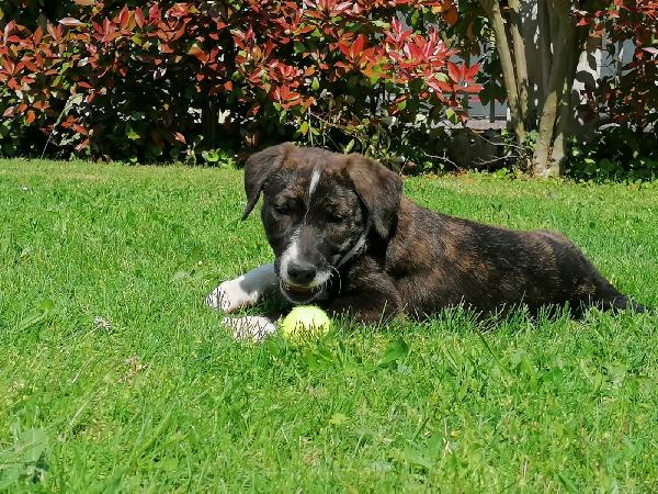 Wendy Cucciola Taglia Grande