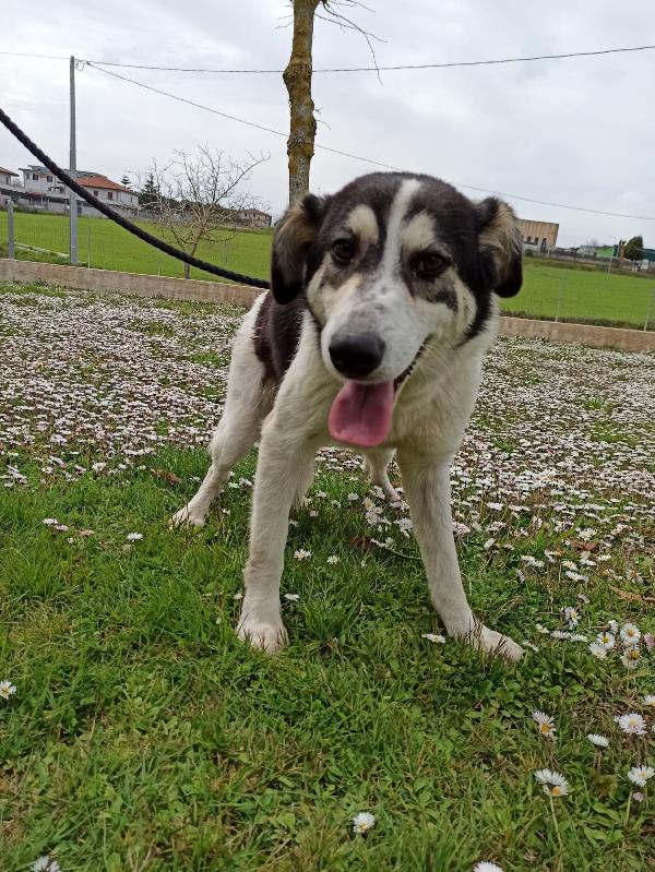 Alice Giovane Taglia Media