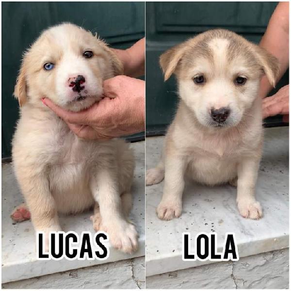 Lola E Lucas!