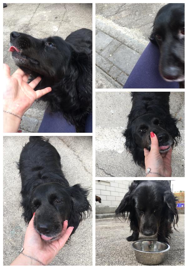 Brek E Guendalina Cercano Casa 