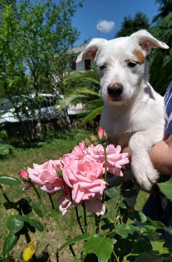 Charlotte Cucciola 5 Mesi