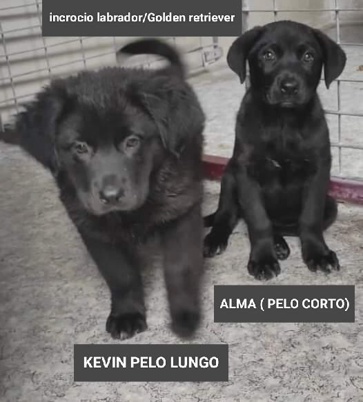 Alma E Kevin!