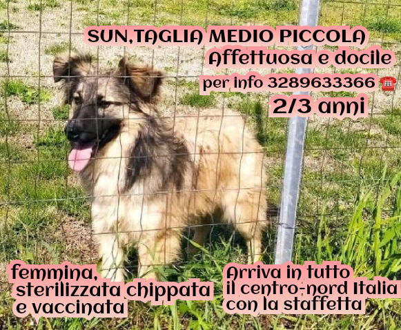Sun, Taglia Medio -Piccola!