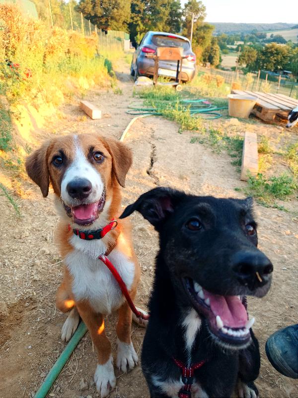 Toscana: Otto E Maggie Cercano Casa Urgentemente 