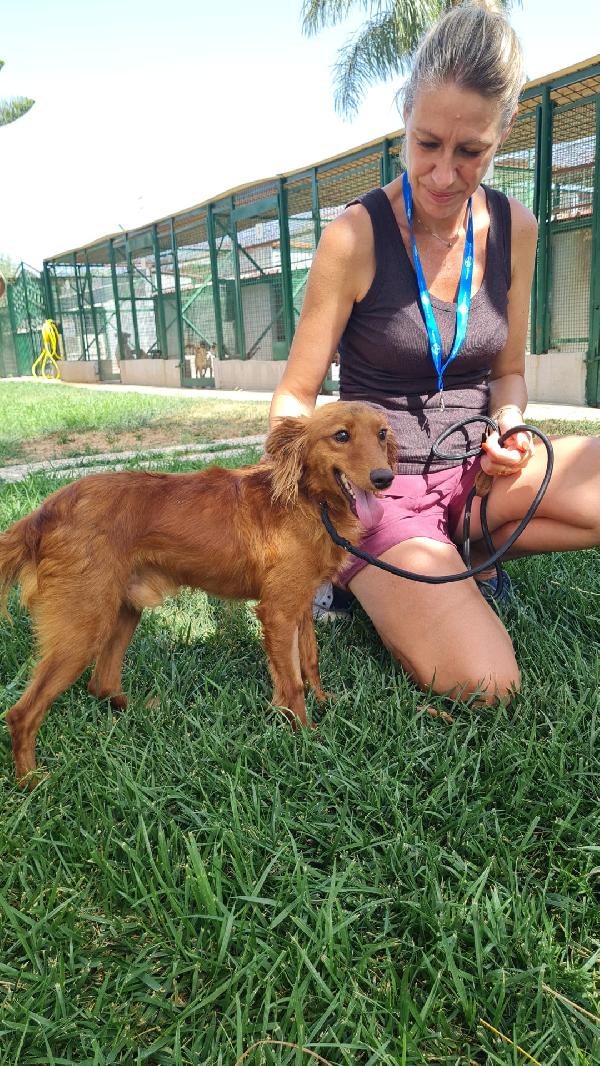 Miró Taglia Contenuta