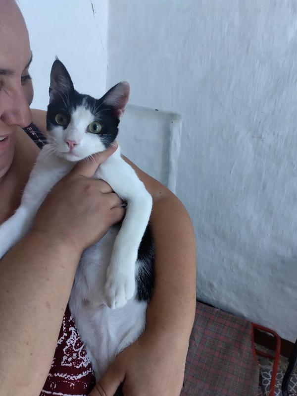 Pasqualino cerca 🏡 Foto 3