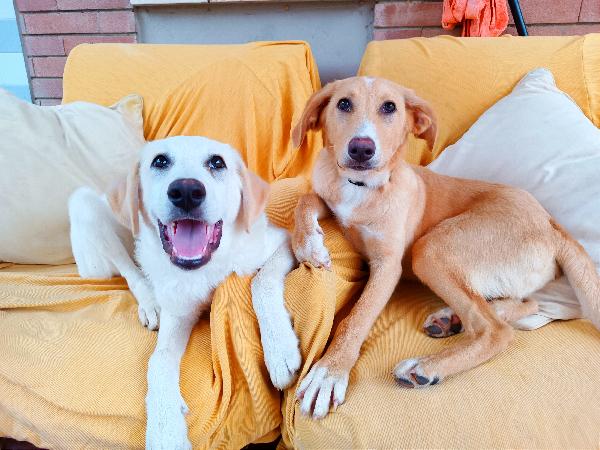 Stiamo Aspettando Voi!!