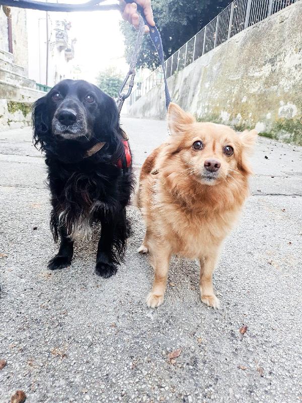 Una Casa Per Guendalina E Break 