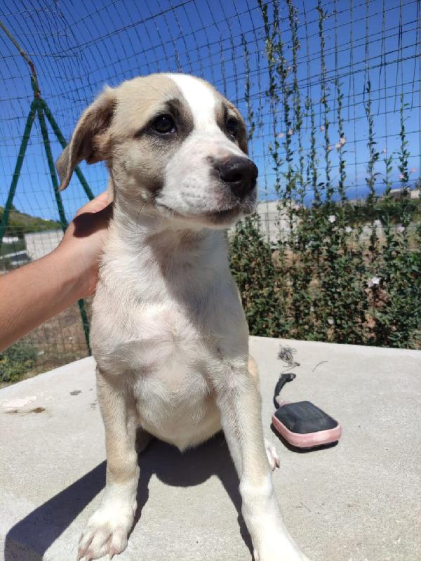 Due Principesse In Adozione ❤️