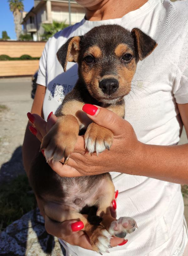 Giosuè Cerca Famiglia 