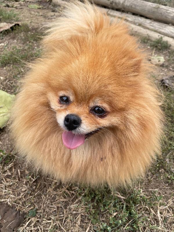 Charlotte La Vecchietta