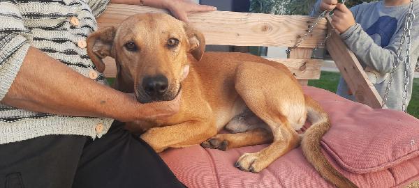 Billy 1 Anno Taglia Medio Piccola 