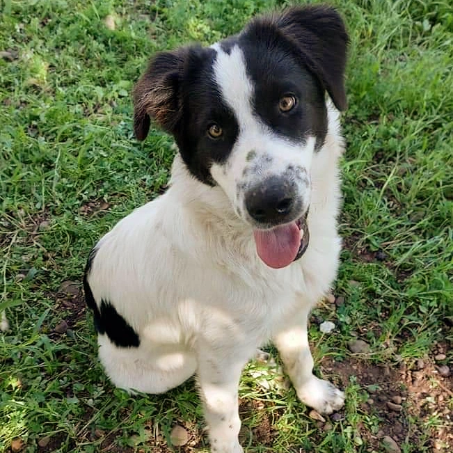 Crizia Cerca Famiglia 