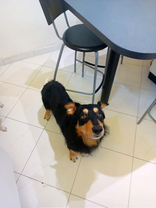 Leo, Buttato Via Come Una Scarpa Vecchia