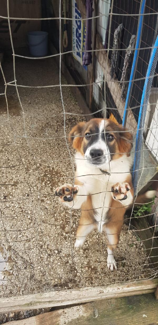 Emily, Taglia Medio Piccola-Media!