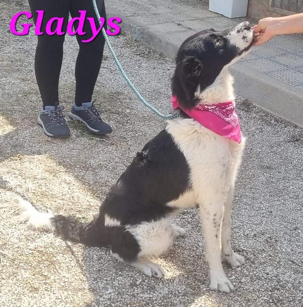 Gladys Bella Meticcia Di Taglia Medio Grande