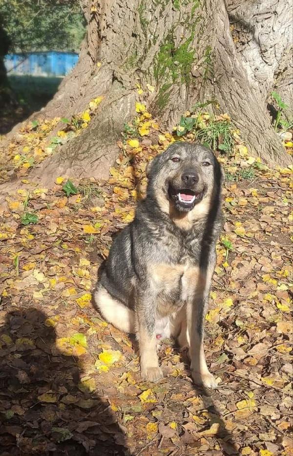 Taglia Medio Contenuta Pronto Ad Amarvi