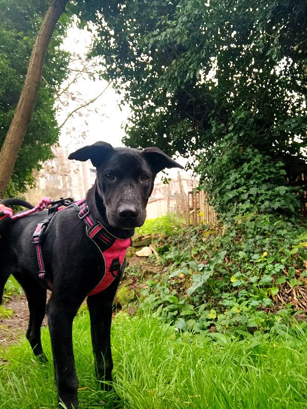 Bea, Leggete Il Suo Appello🙏