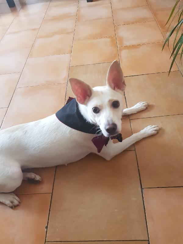 Livia! (12Kg-5 Anni)