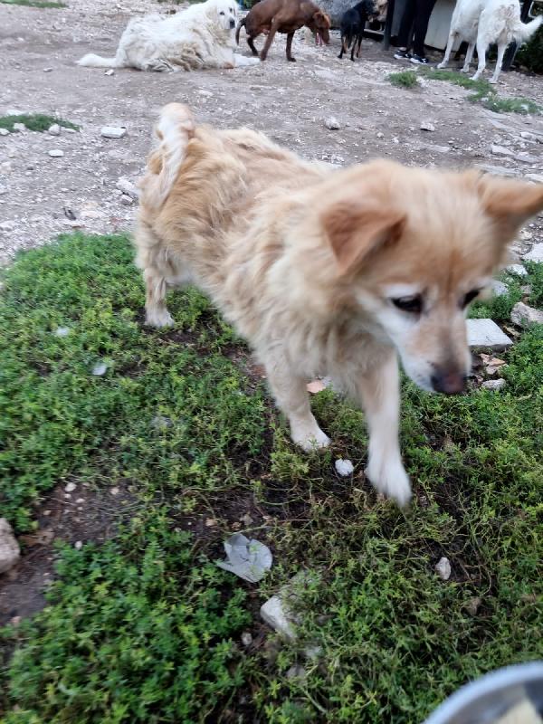 Nonno Balu Cerca Casa 