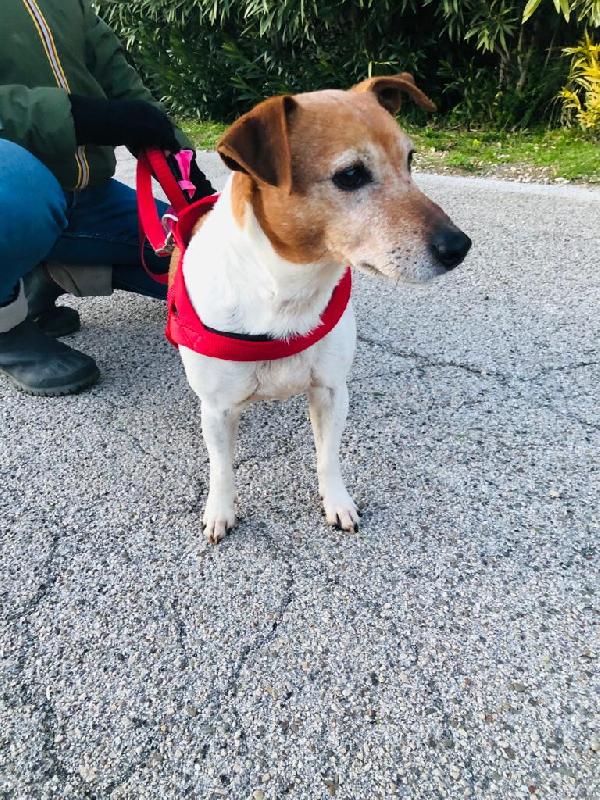 Milo Rinuncia Di Proprietà 