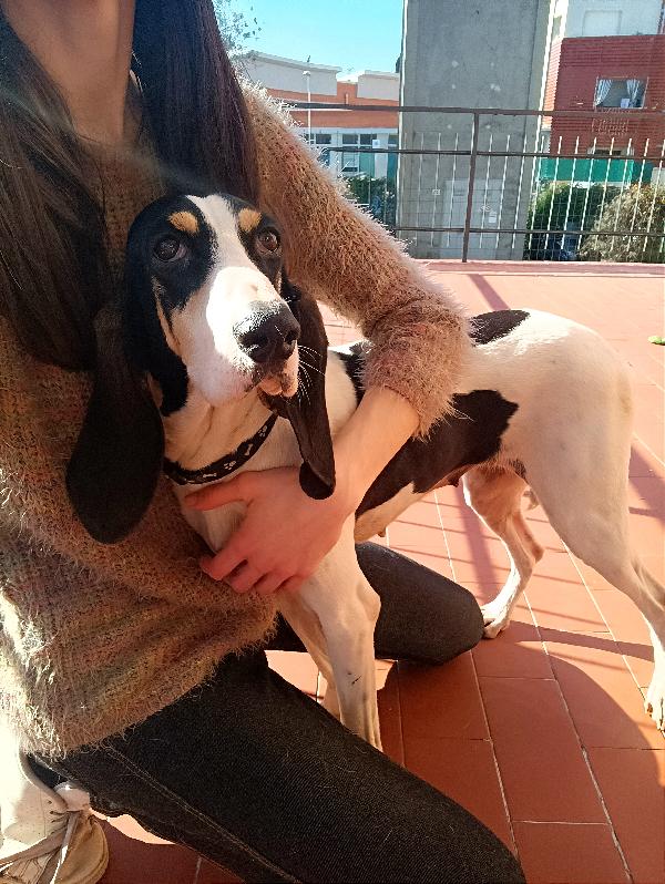 Riscattata Da Un Cacciatore, Aspetta La Sua Famiglia 