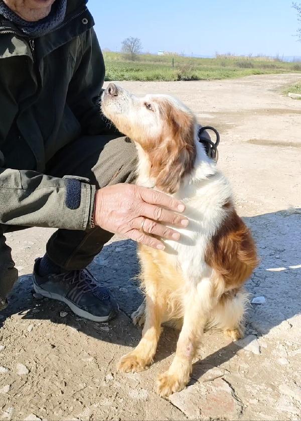 Nonno Rudy Adottato ❤️