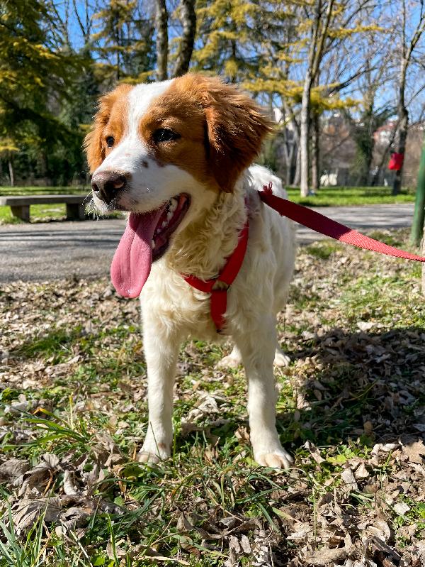 La Principessa Cerca Casa 