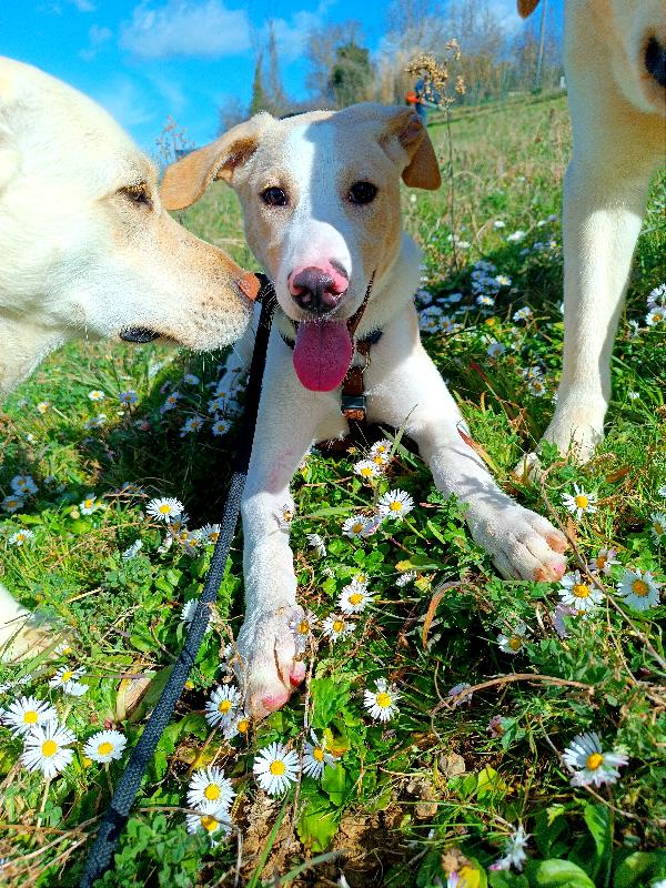 Mango, Rispedito Al Mittente Dopo 2 Settimane