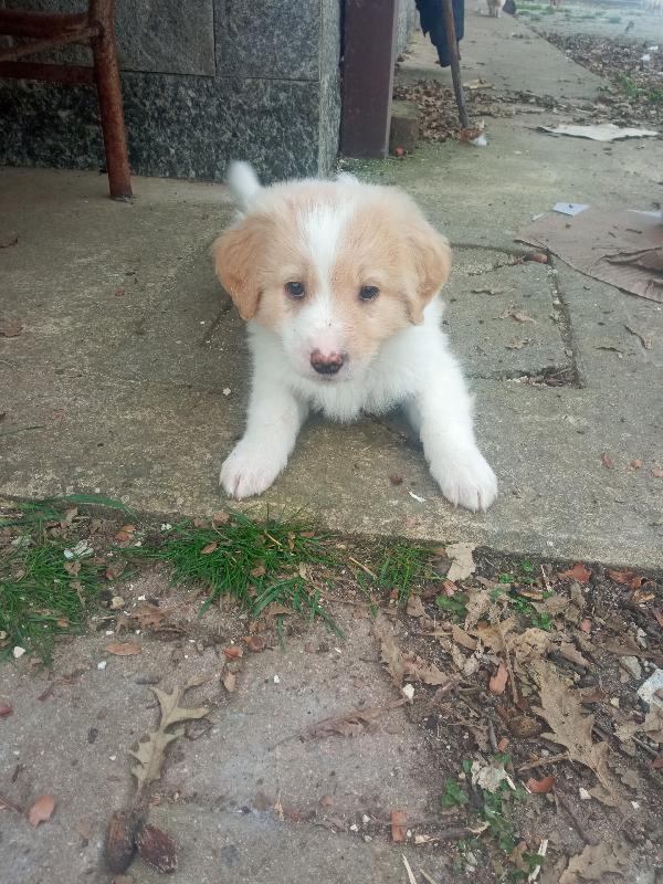 Michelle, Futura Taglia Media