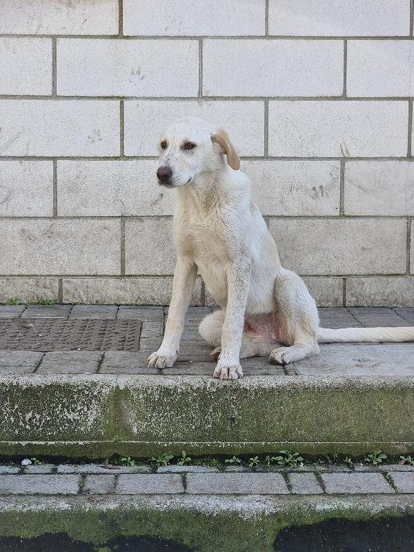 Hope Non Perde La Speranza 