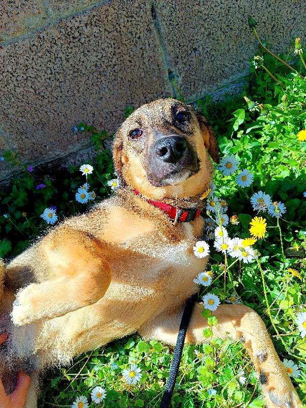 Lilly Non Piace A Nessuno, Zero Richieste