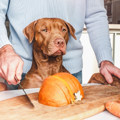 Ricette di Halloween Nutrienti per Cani - Golosità Sicure e Benefiche!