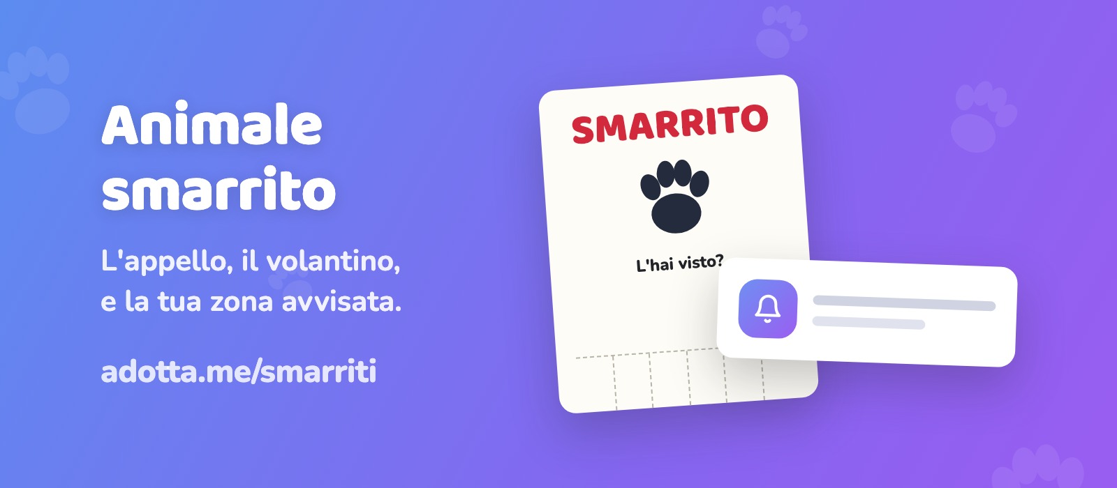 Animale smarrito: cosa fare subito (e come avvisiamo la tua zona)
