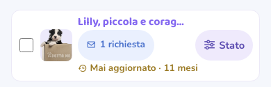 Una riga della lista annunci su telefono: la casella di selezione, la foto, il titolo «Lilly, piccola e corag…», la pillola azzurra «1 richiesta», sotto in ambra «Mai aggiornato · 11 mesi», e a destra il pulsante «Stato»