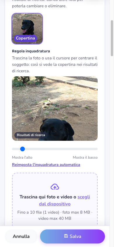 Regola inquadratura: l'anteprima mostra il taglio reale della card nei risultati di ricerca