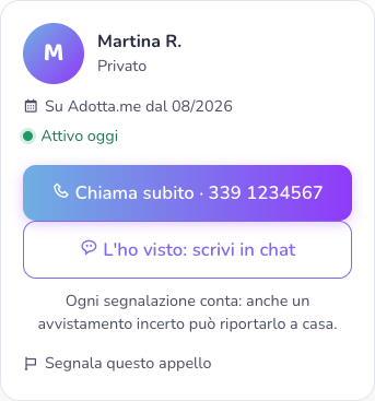 La pagina dell'appello con Chiama subito e Scrivi in chat