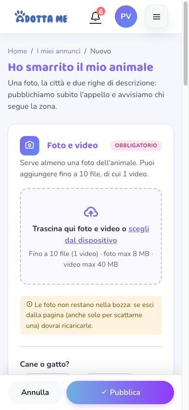 Il form dell'appello smarrito: foto, specie, nome e descrizione