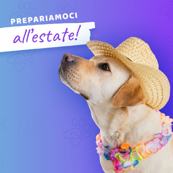 Prepariamoci all'estate: Strategie per la cura degli animali domestici durante i mesi caldi