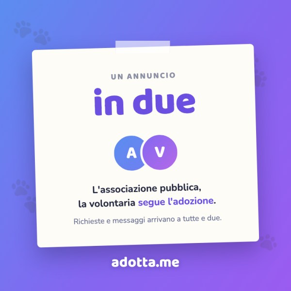 Gestire un'adozione in due: arriva la referente sull'annuncio