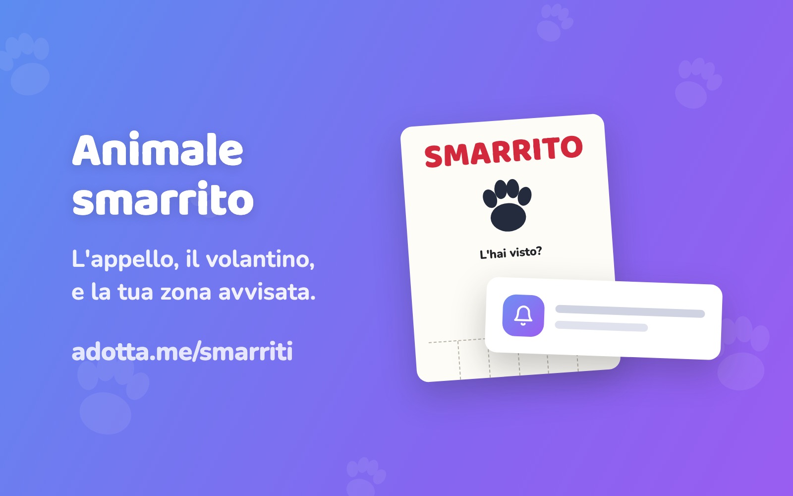 Animale smarrito: cosa fare subito (e come avvisiamo la tua zona)