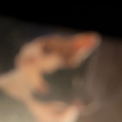 User Profile Image